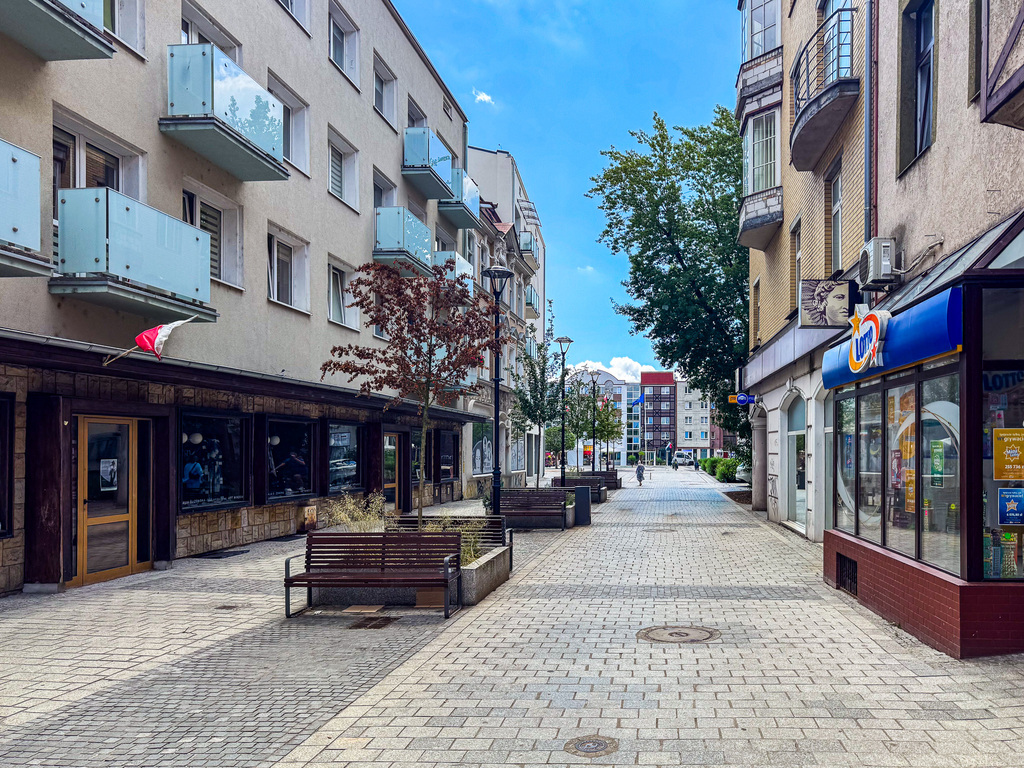 Lokal Handlowo Usługowy Hawelańska