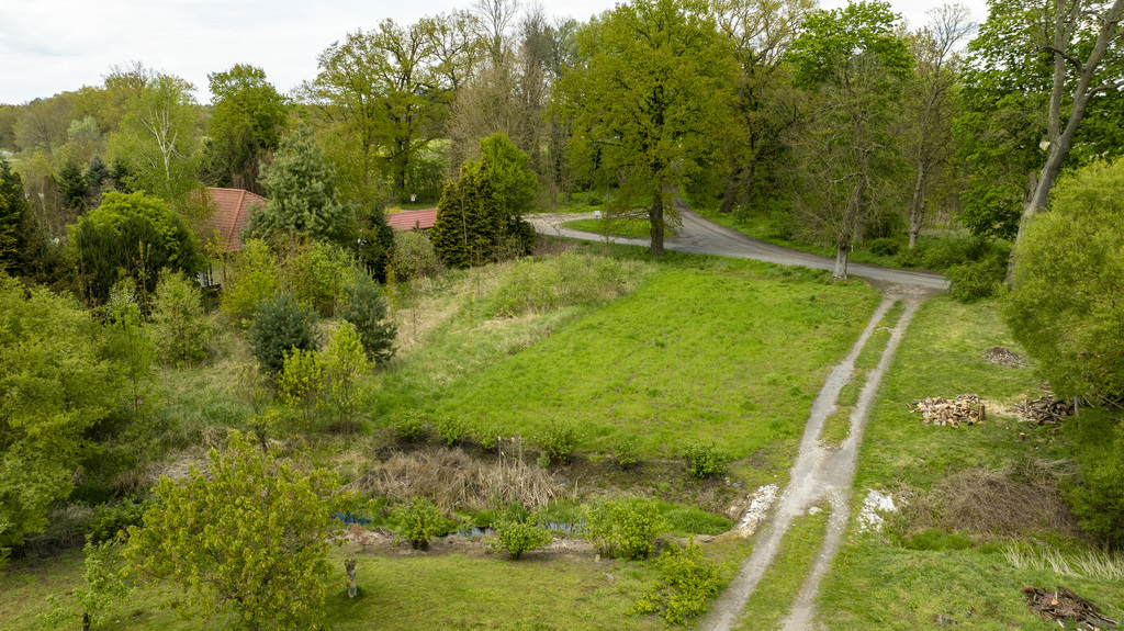 Atrakcyjna działka otoczona zielenią.